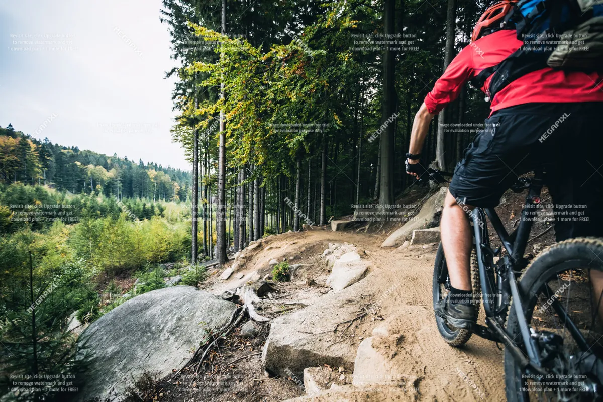 An energetic scene of a mountain biker navigating a rocky trail surrounded by lush trees. The terrain looks adventurous and inviting for outdoor enthusiasts, capturing the spirit of exploration and local activities.