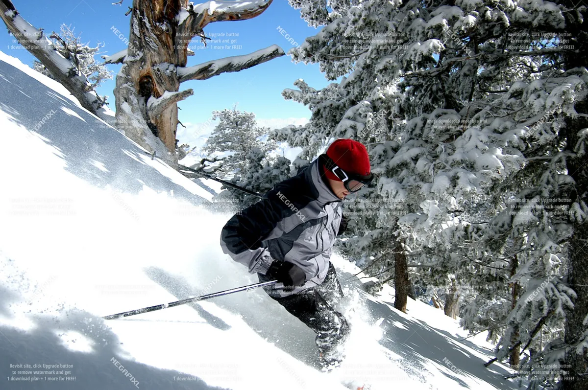 A dynamic shot of a skier descending snow-covered slopes, flanked by trees, capturing the thrill and scenic beauty of winter sports in the region.